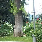 Il Palazzetto 3*